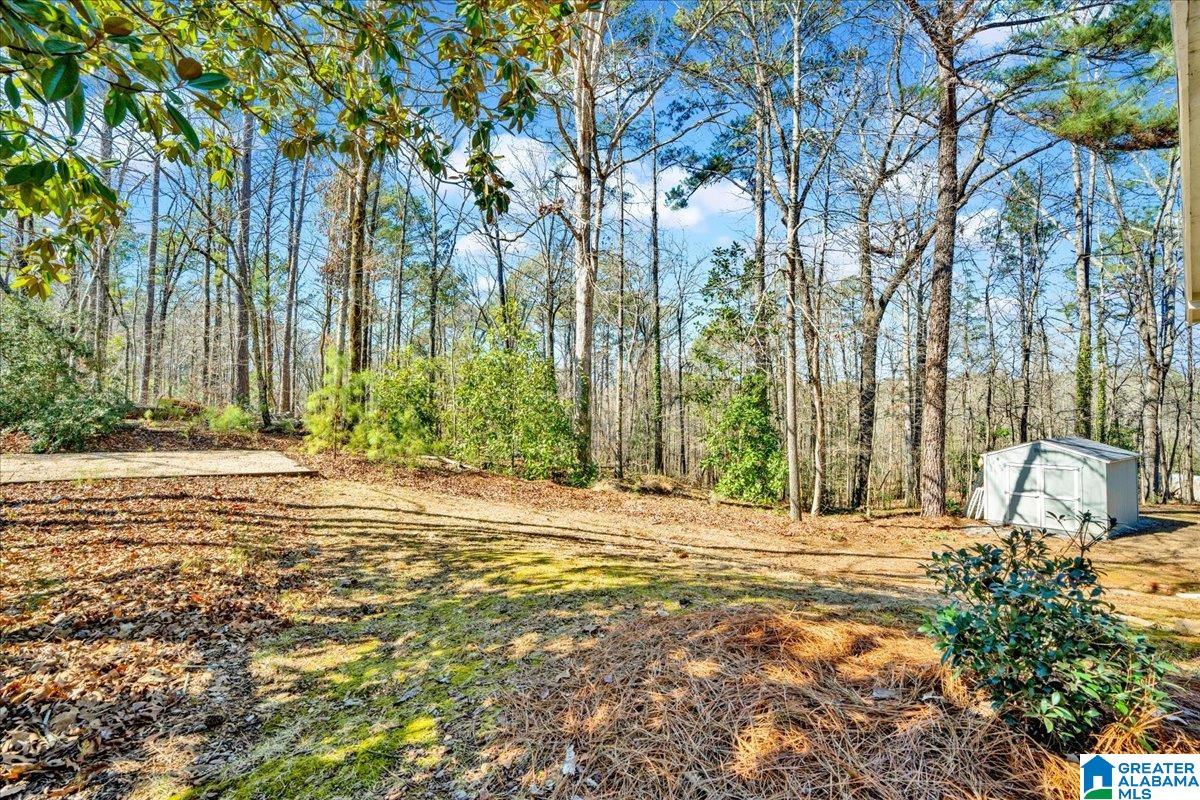1069 Liberty Road Chelsea, AL 35043 - Photo 49 of 53