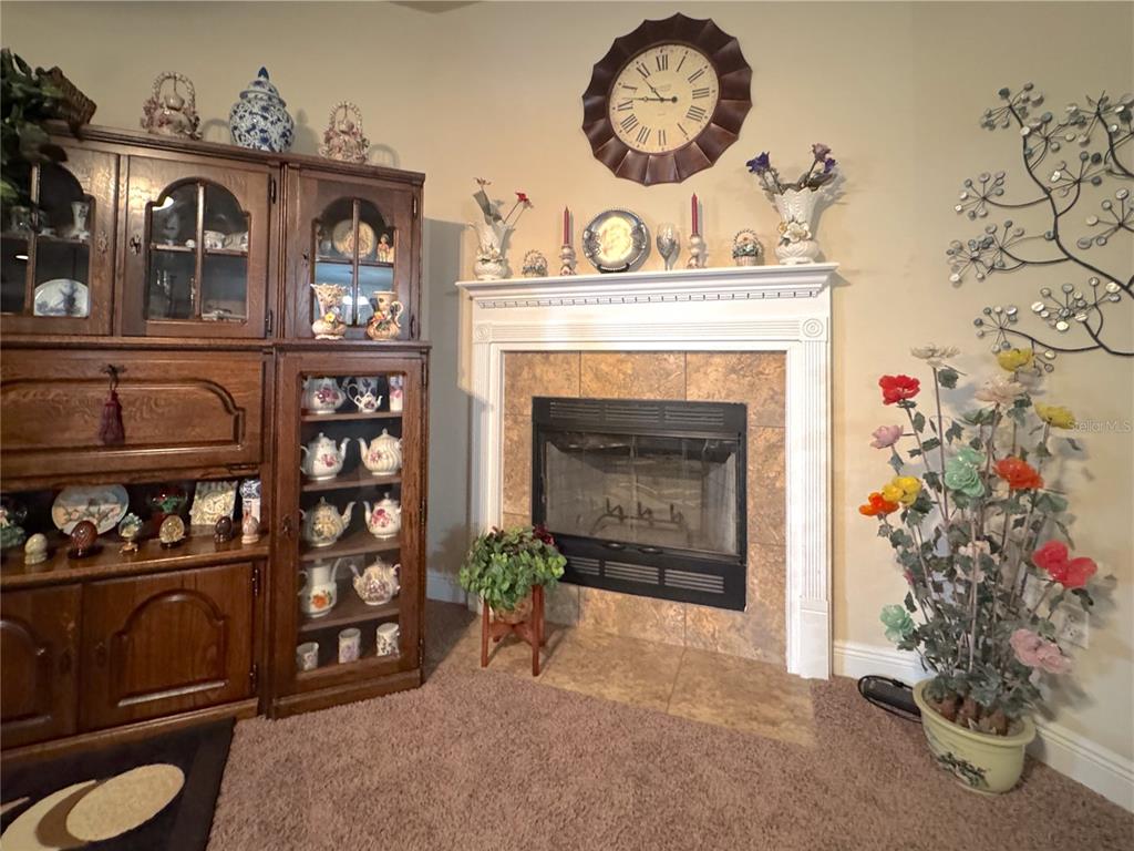 223 Paradise Palm Circle Crestview, FL 32536 - Photo 5 of 30