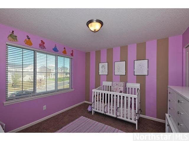 1323 Brenda Road Waconia, MN 55387 - Photo 11 of 17 Gallery Image 11
