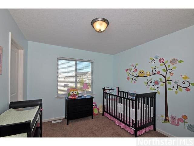 1323 Brenda Road Waconia, MN 55387 - Photo 13 of 17 Gallery Image 13