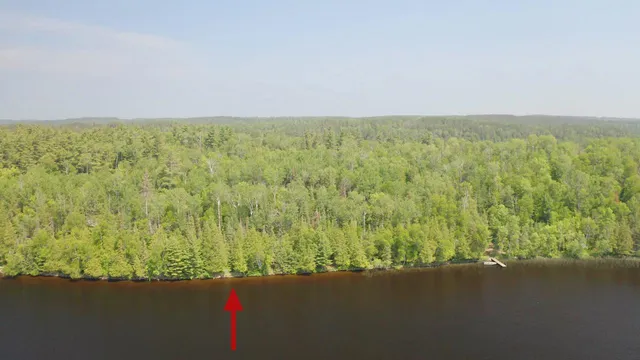 $124,500 | 5773 Lake Vermilion N Breitung Twp Mn 55790 North, Tower, MN 55790