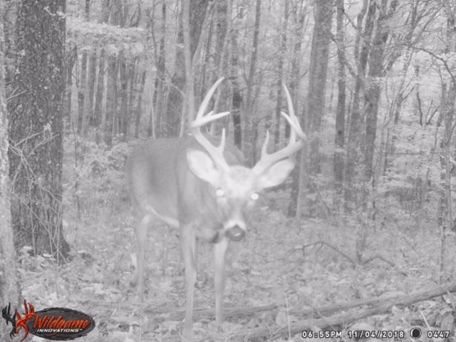 3006 Piney Grove Road Somerset, KY 42501 - Photo 15 of 52 IMG_4894