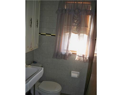 1717 Elderslee Road Baldwin, PA 15227 - Photo 10 of 11 Master Bath/Spa. The bathroom is on the second floor. There is a "Pittsburgh toilet" in the basement as well.