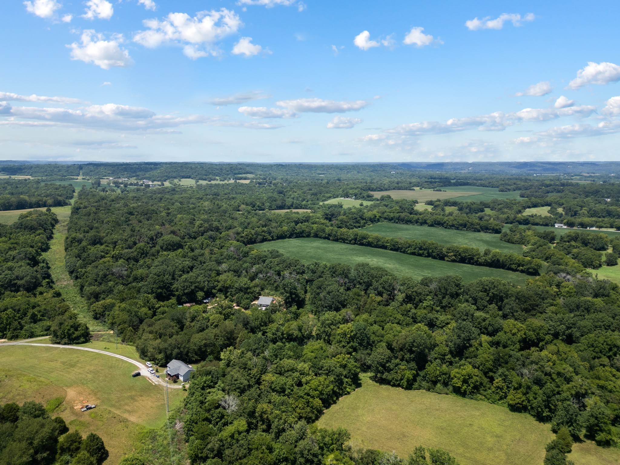 170 Rodeo Drive Columbia, TN 38401 - Photo 53 of 60 a view of a city with lush green forest