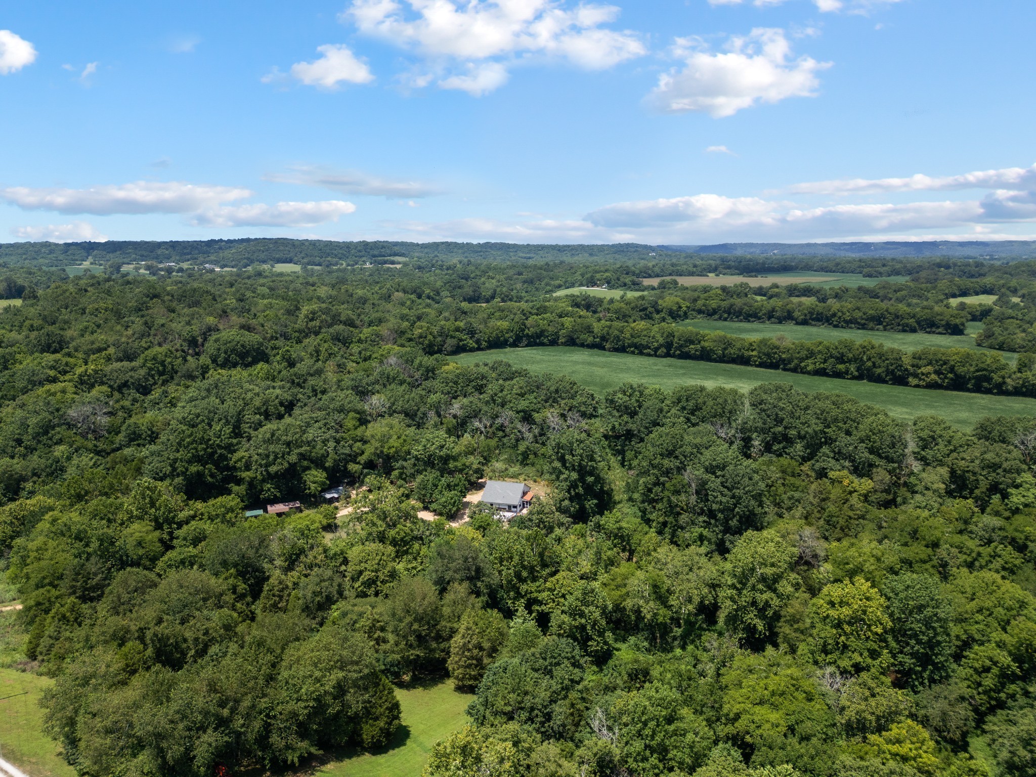 170 Rodeo Drive Columbia, TN 38401 - Photo 54 of 60 a view of a city with lush green forest