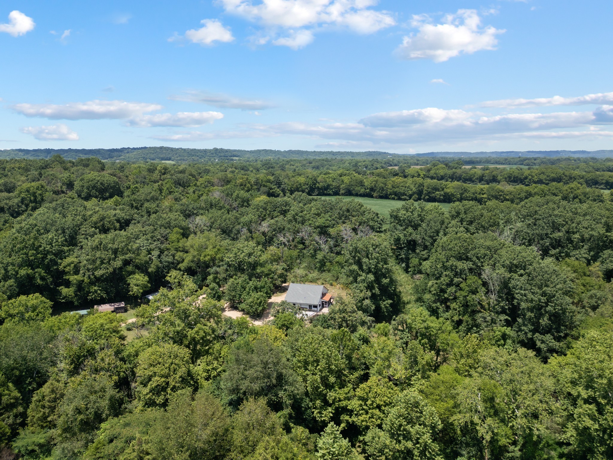 170 Rodeo Drive Columbia, TN 38401 - Photo 55 of 60 a view of a green field with lots of bushes