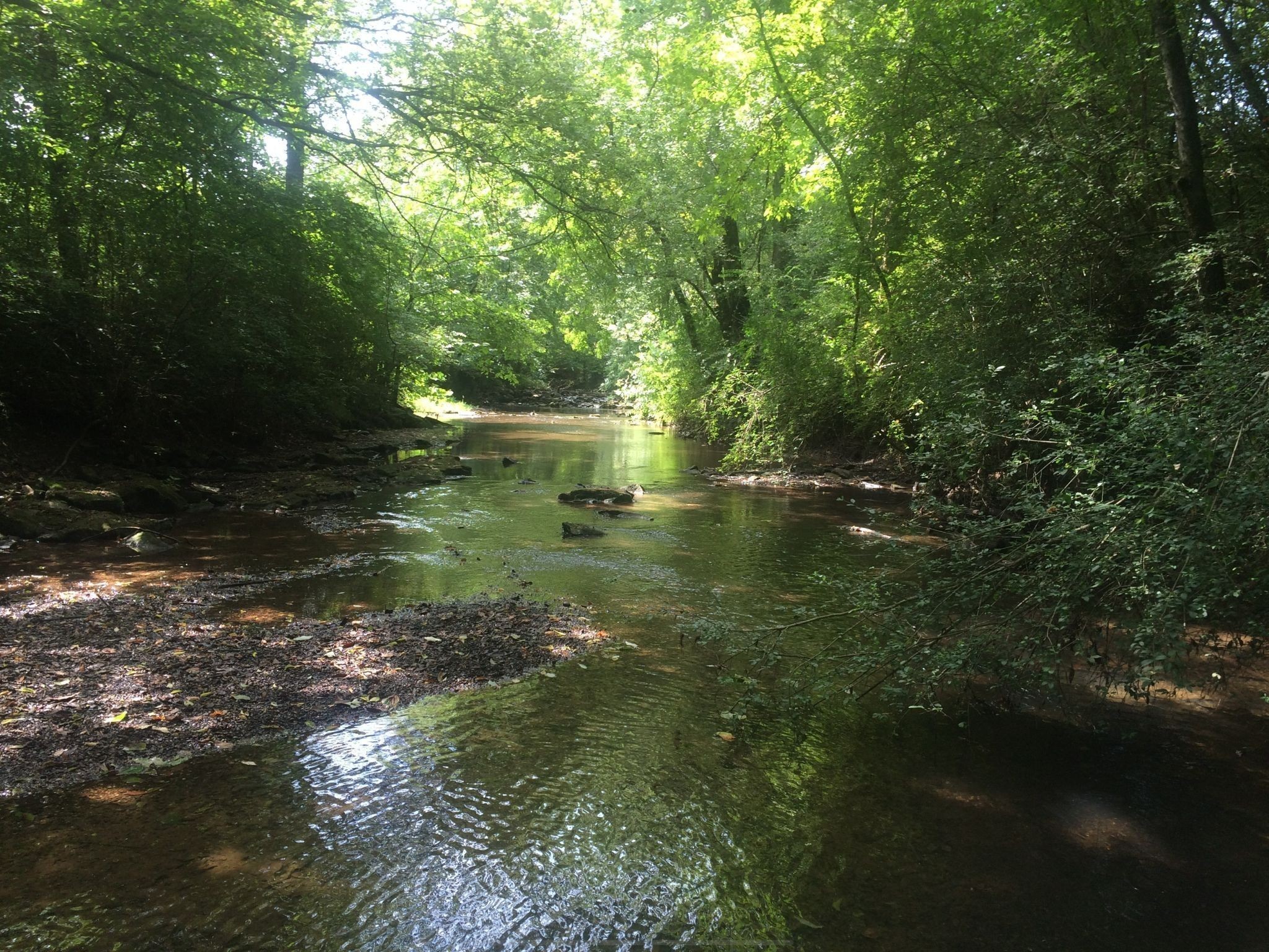 170 Rodeo Drive Columbia, TN 38401 - Photo 58 of 60 a view of lake with green space