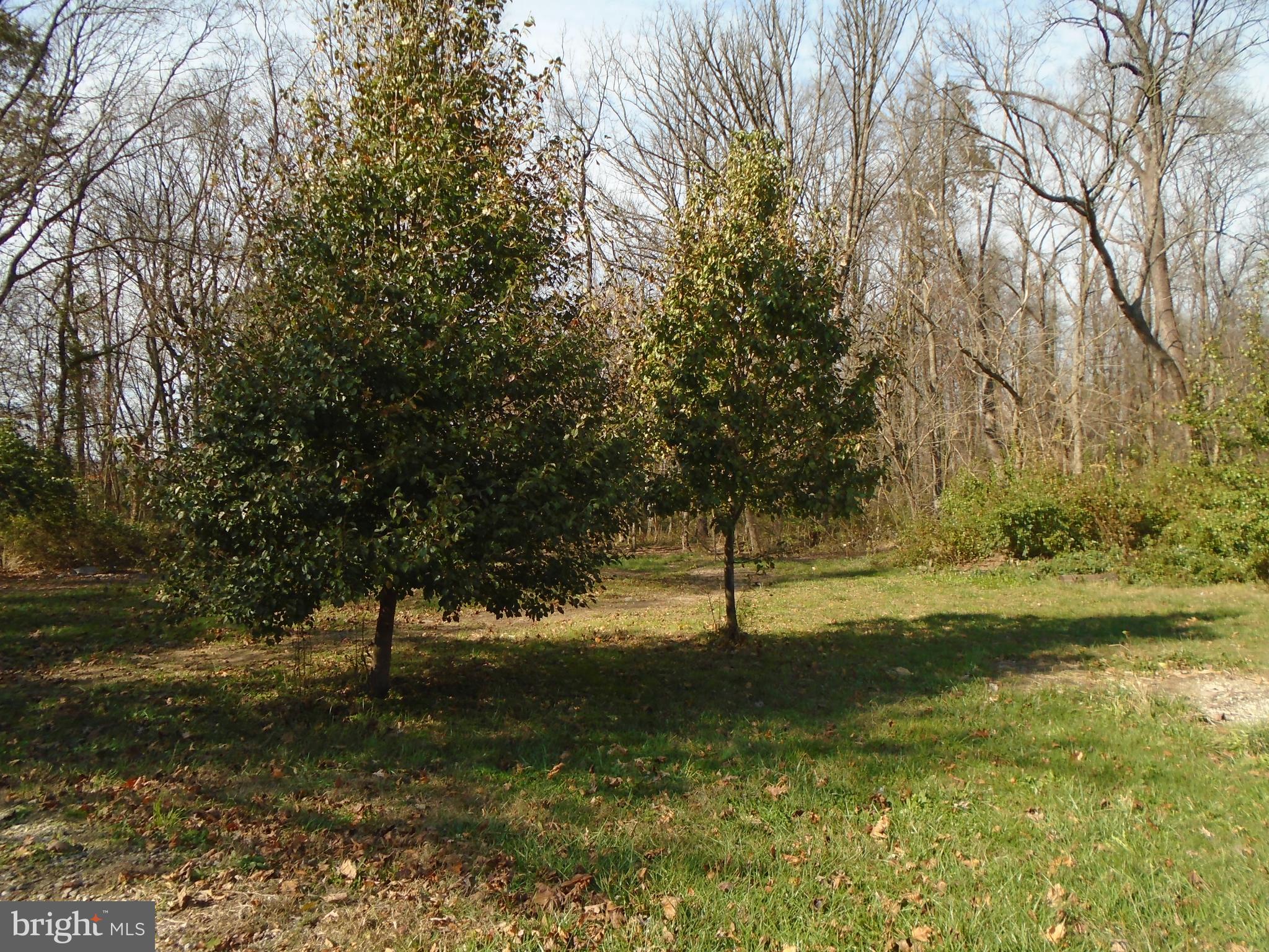 1170 Mckinstrys Mill Road Union Bridge, MD 21791 - Photo 10 of 29 Views