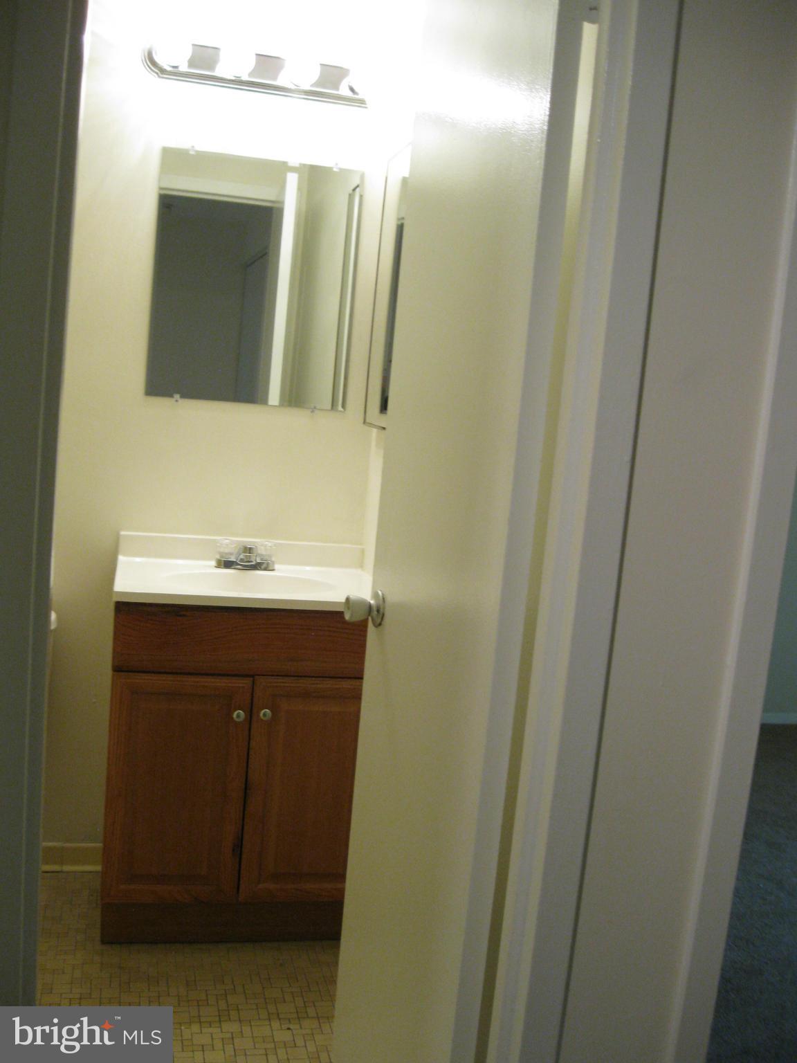 9451 Horizon Run Road, Unit 8E Gaithersburg, MD 20886 - Photo 17 of 30 Bath