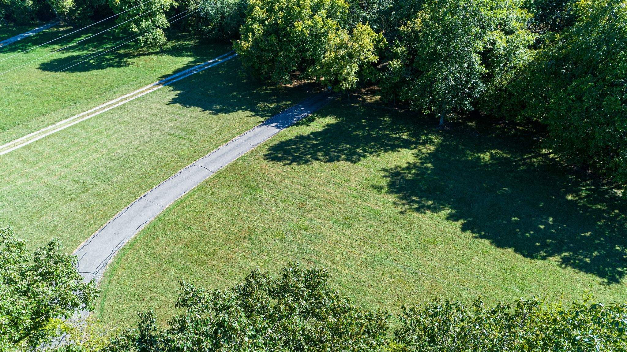 1457 Center Star Road Columbia, TN 38401 - Photo 7 of 45 a lush green forest with lots of trees