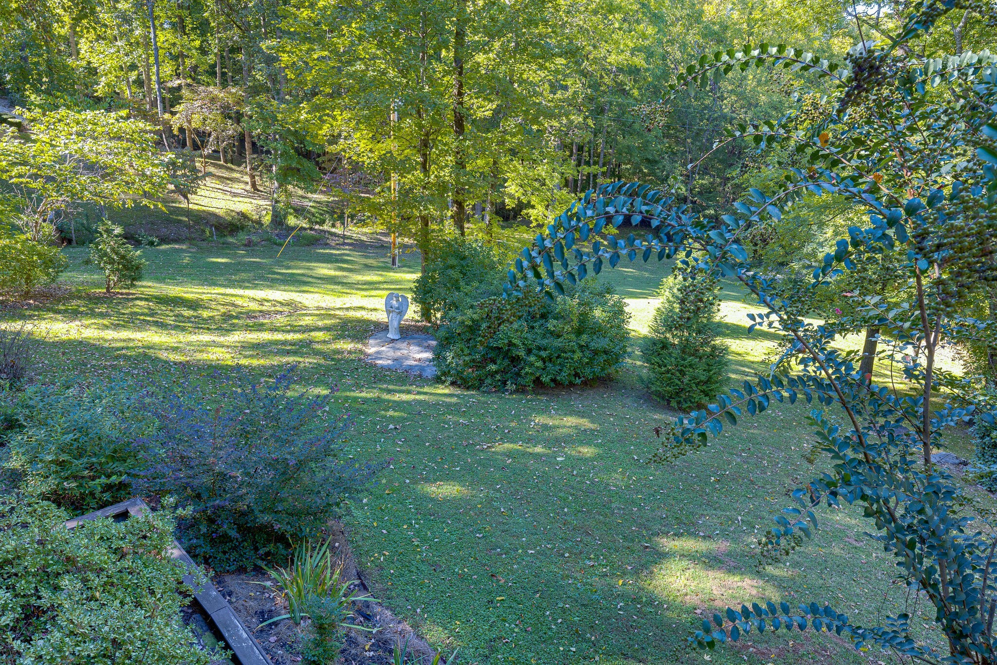 1457 Center Star Road Columbia, TN 38401 - Photo 8 of 45 a view of an trees with a yard