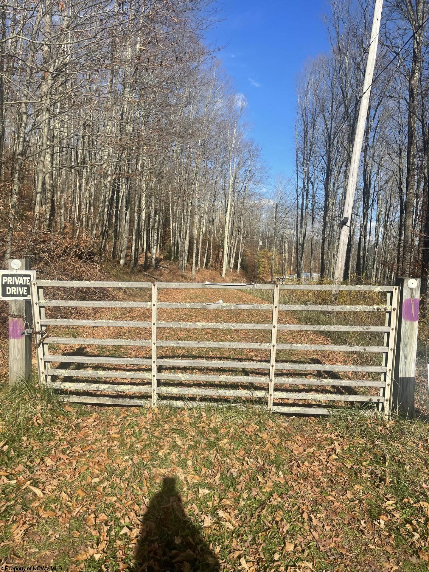 615 Promised Land Road, Unit LAND Davis, WV 26260 - Photo 4 of 21 Gallery Image 4