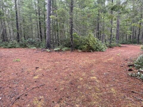 Lone Mountain Road, Unit 1300 Cave Junction, OR 97523 - Photo 8 of 15 Trail to location of well keep left .