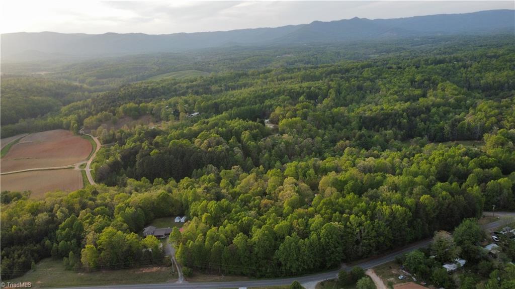 169 Rick Road Mount Airy, NC 27030 - Photo 4 of 10 Gallery Image 4