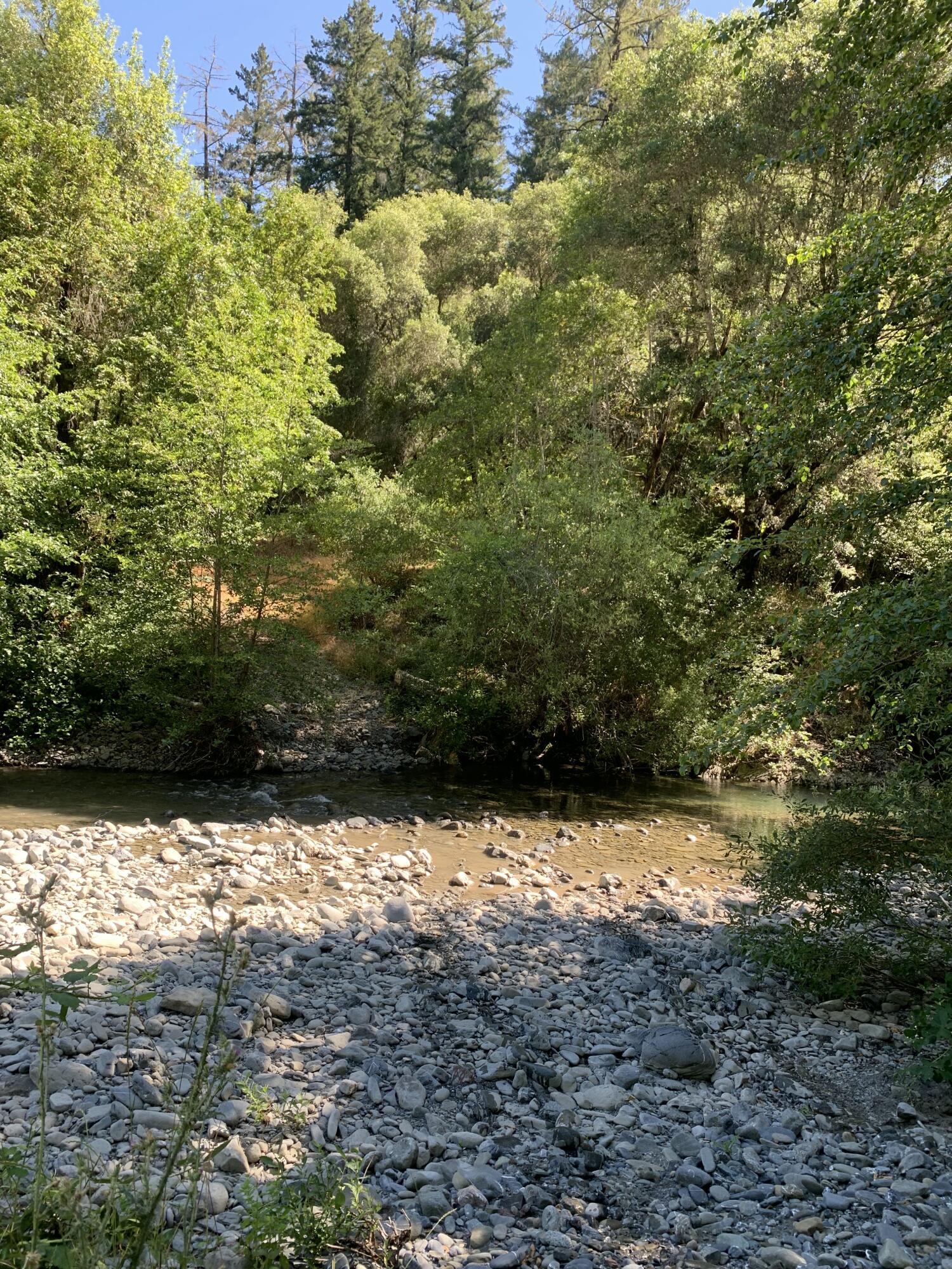 160-acres Alderpoint Road Alderpoint, CA 95511 - Photo 13 of 16