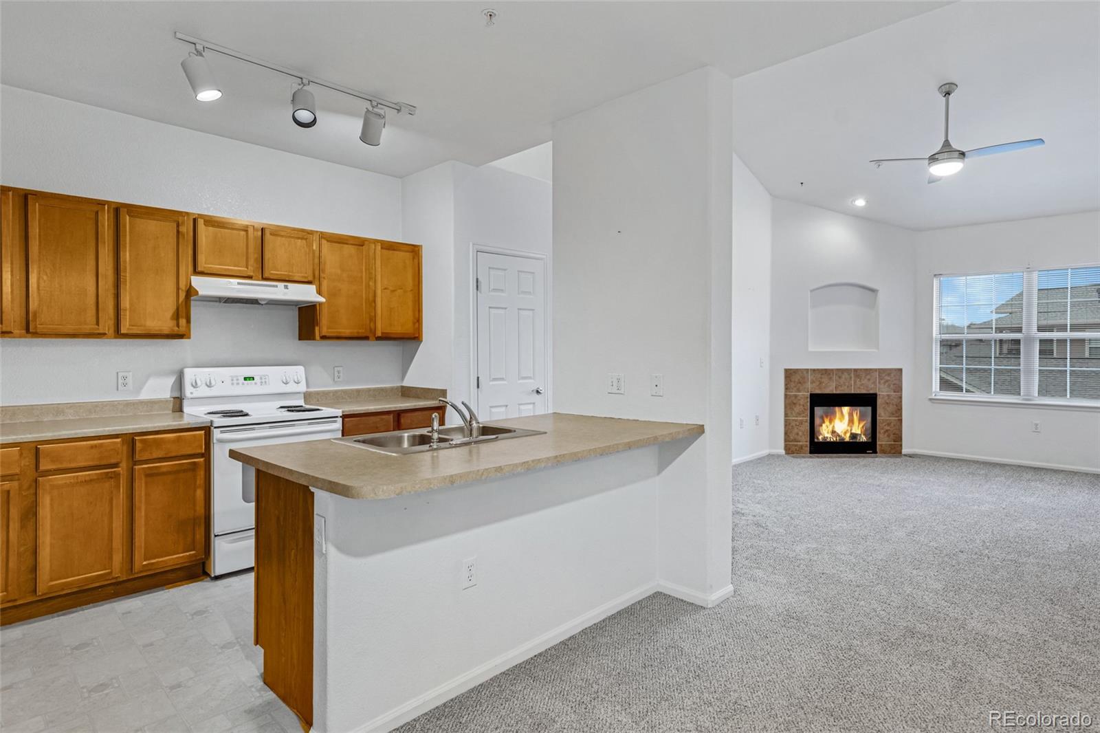 10715 Twenty Mile Road, Unit 203 Parker, CO 80134 - Photo 6 of 17