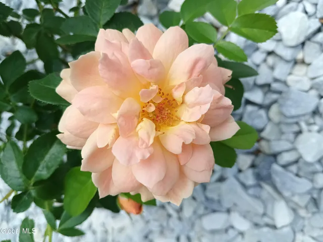 $409,900 | 15 Maywood Drive, Glenville, NY 12302