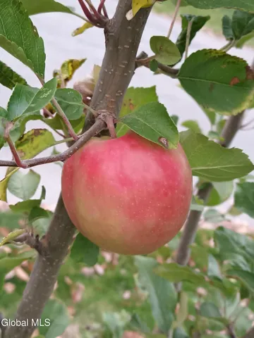 $409,900 | 15 Maywood Drive, Glenville, NY 12302