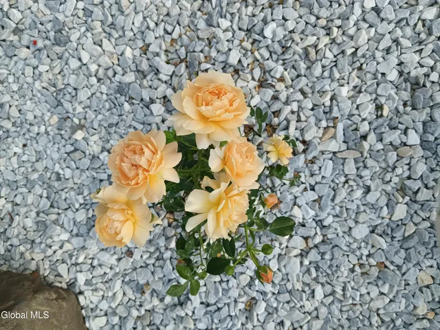 $409,900 | 15 Maywood Drive, Glenville, NY 12302