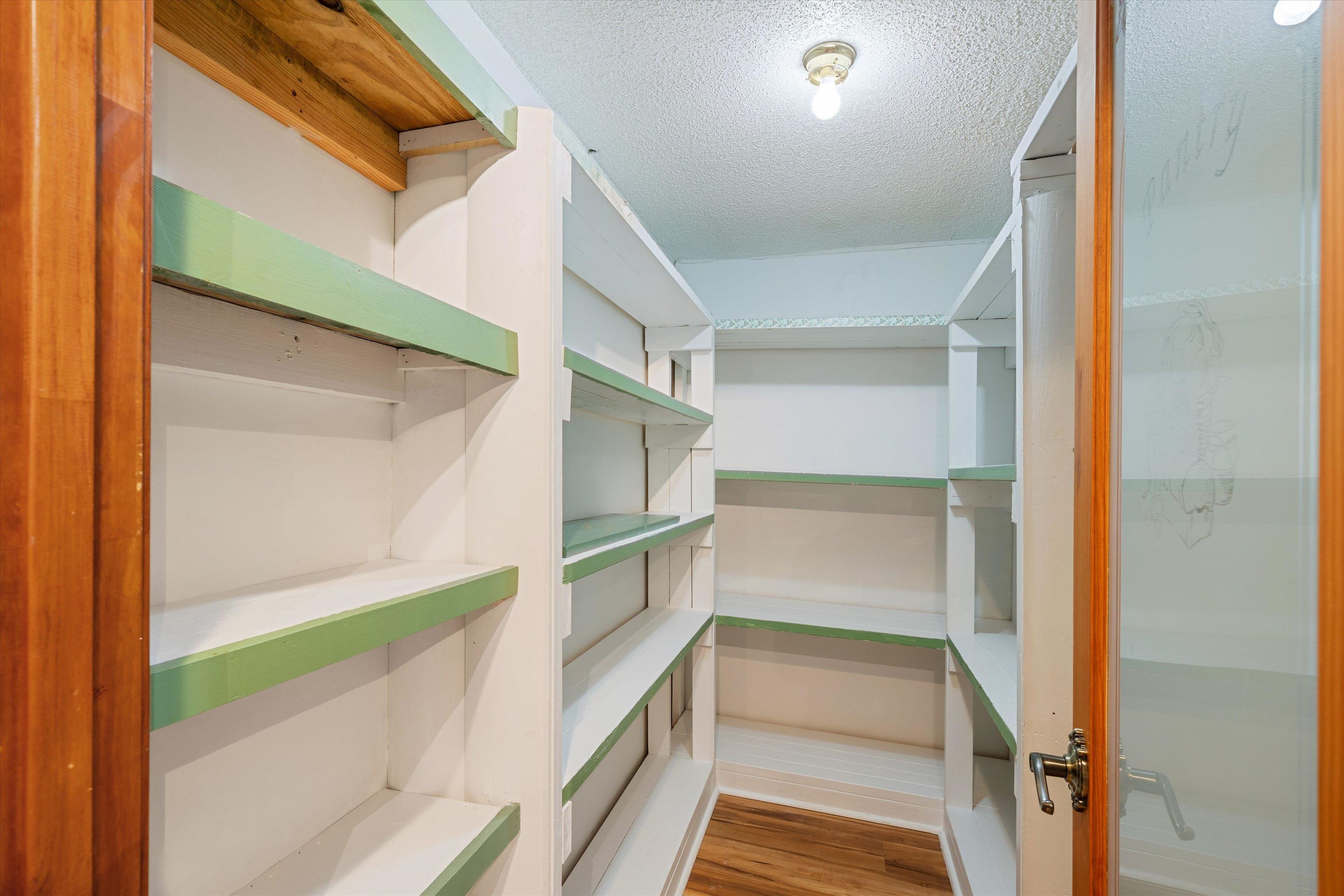 245 Metro Road Eads, TN 38028 - Photo 22 of 33 View of pantry