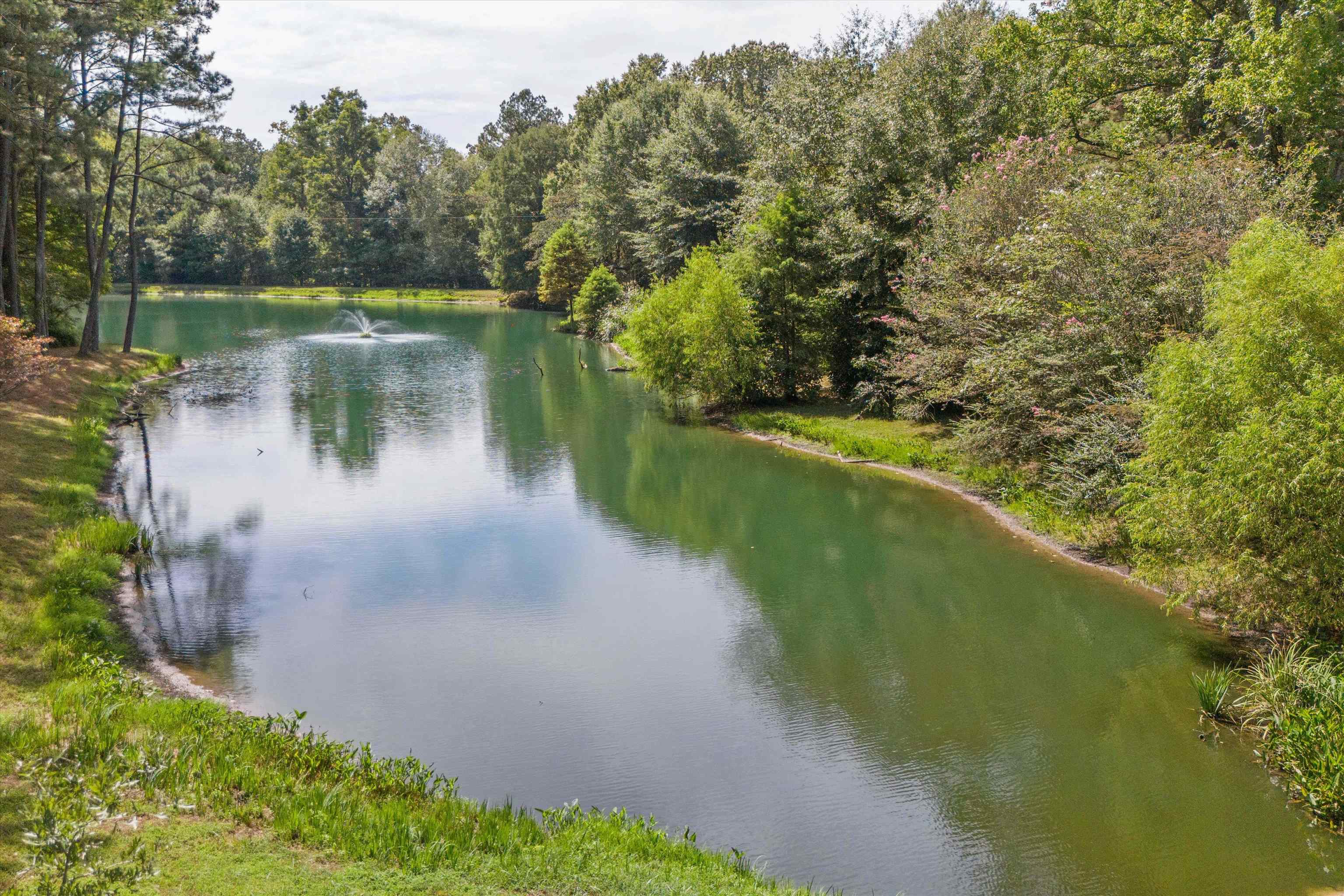 245 Metro Road Eads, TN 38028 - Photo 27 of 33 Water view