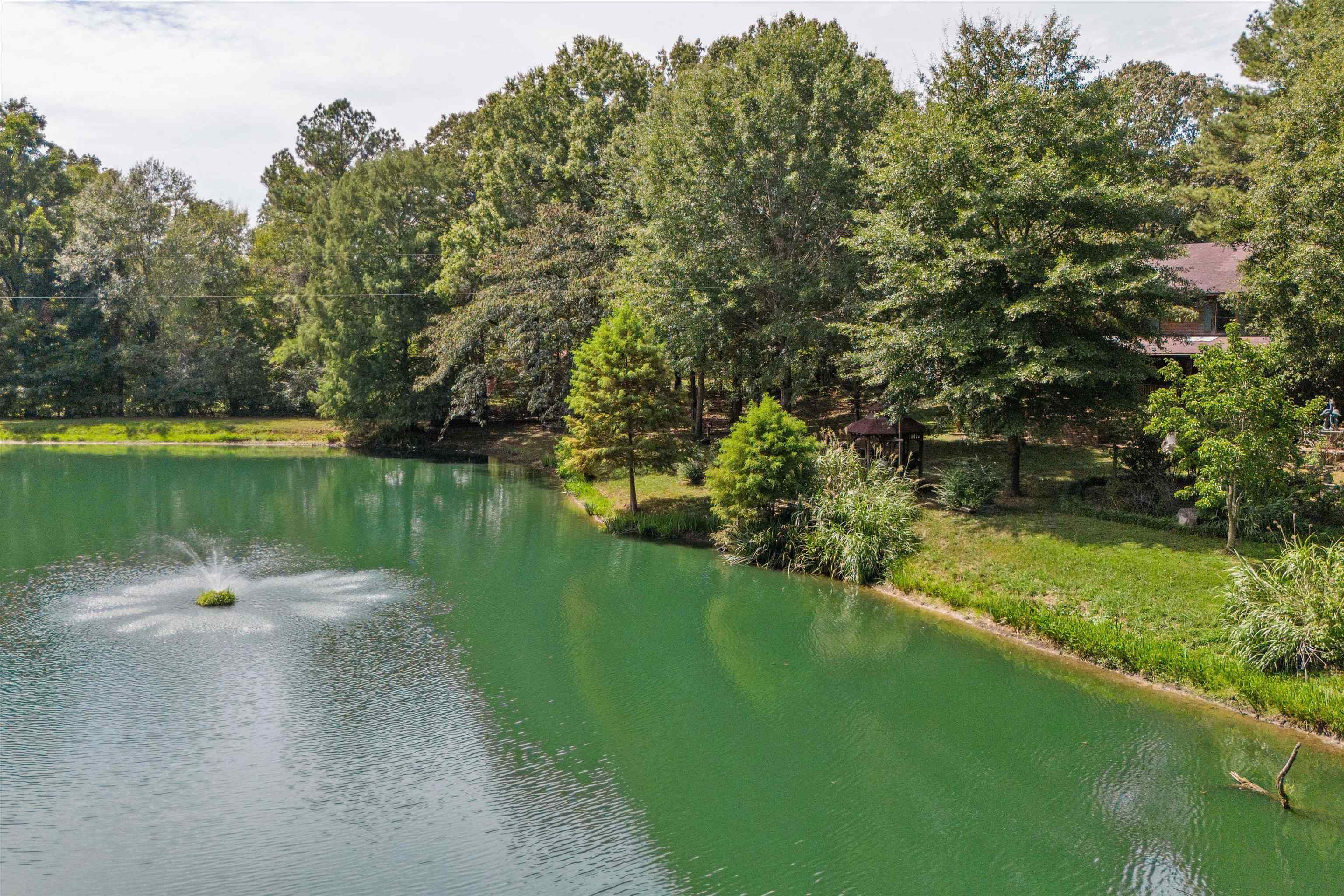 245 Metro Road Eads, TN 38028 - Photo 3 of 33 Water view, Pond