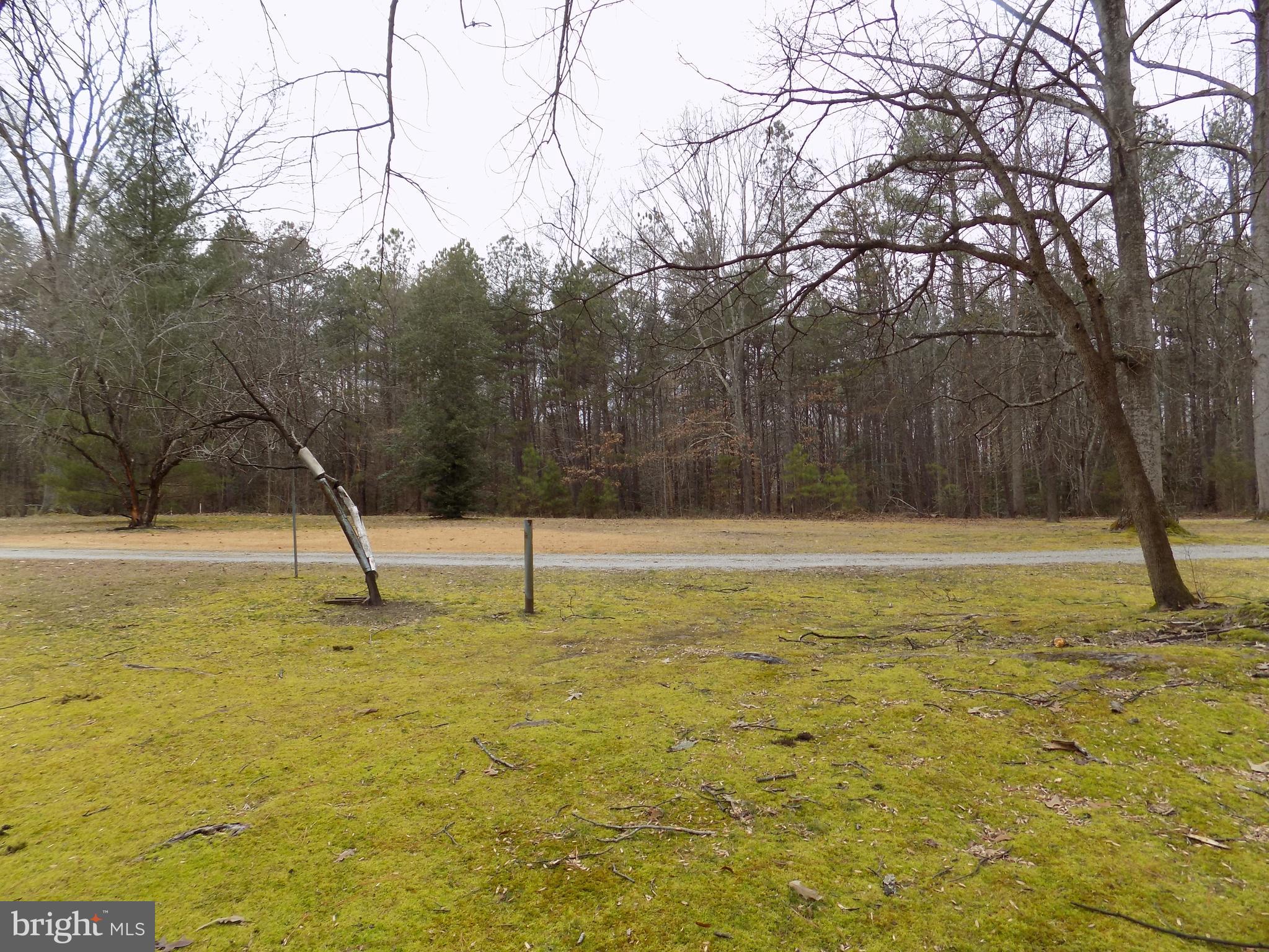 14064 Sutton Lane Ruther Glen, VA 22546 - Photo 11 of 13