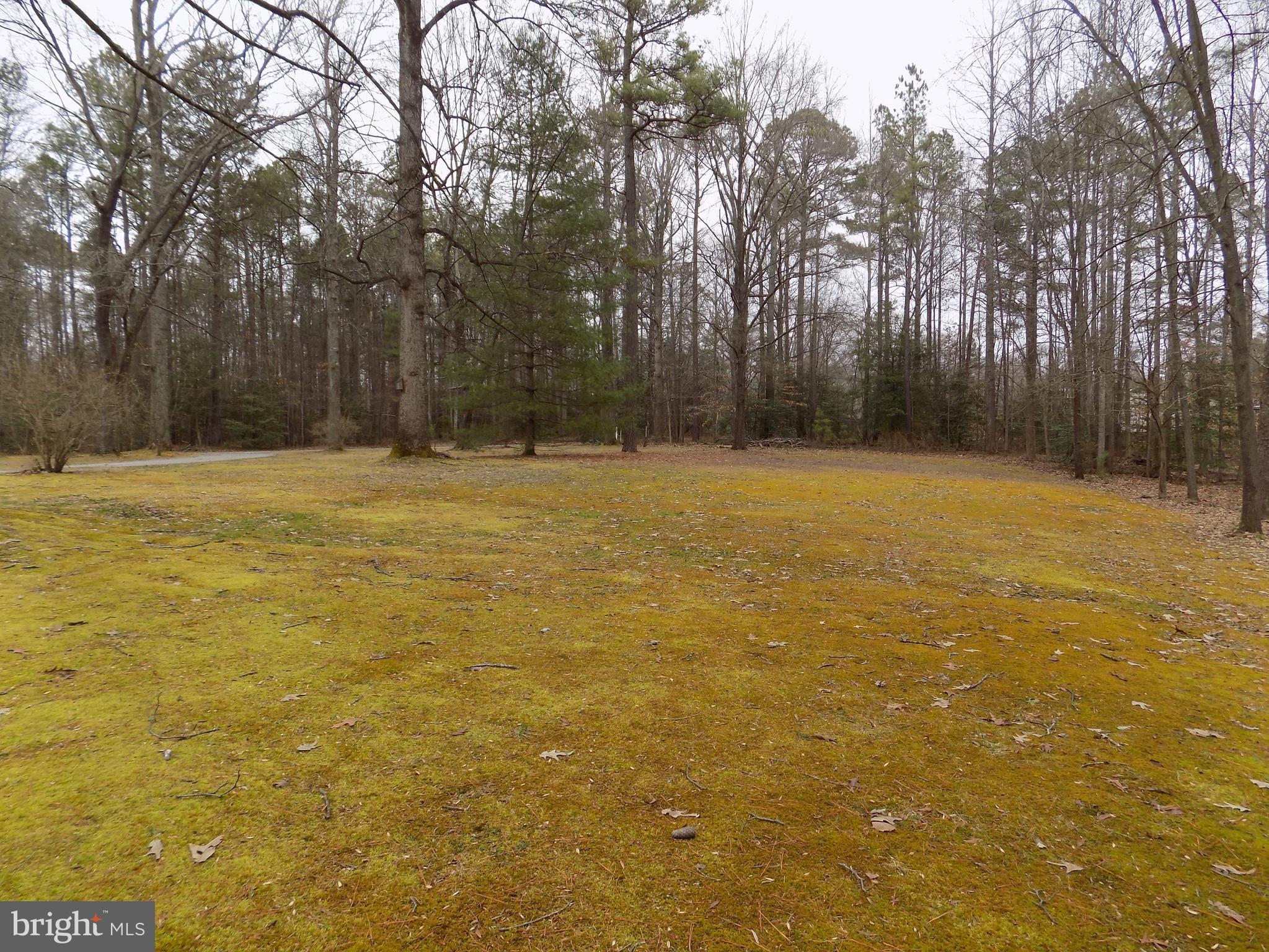 14064 Sutton Lane Ruther Glen, VA 22546 - Photo 10 of 13 yard