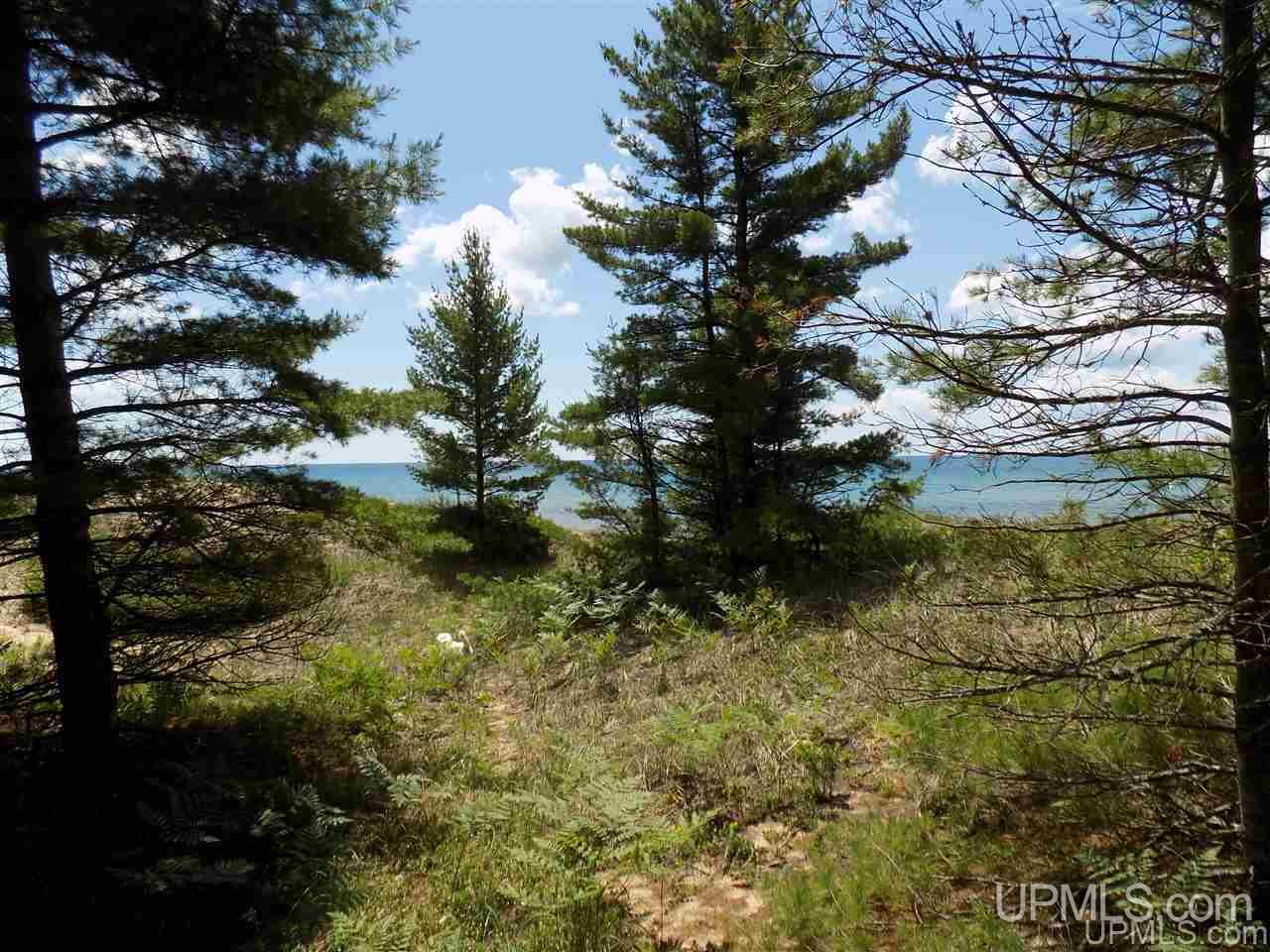 Tbd Top O Lake Road Gulliver, MI 49840 - Photo 20 of 38