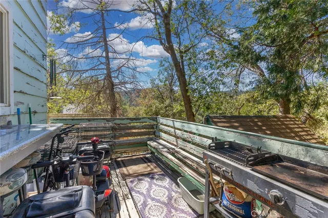 a city view with tall trees