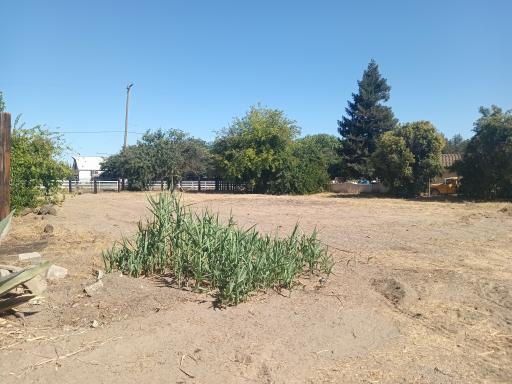 1824 California Avenue Modesto, CA 95358 - Photo 7 of 43