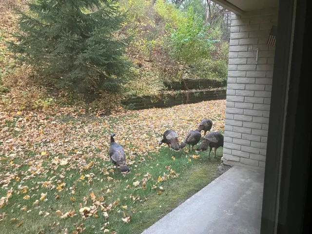 $179,900 | 625 19th Street Northwest, Unit 103, Rochester, MN 55901