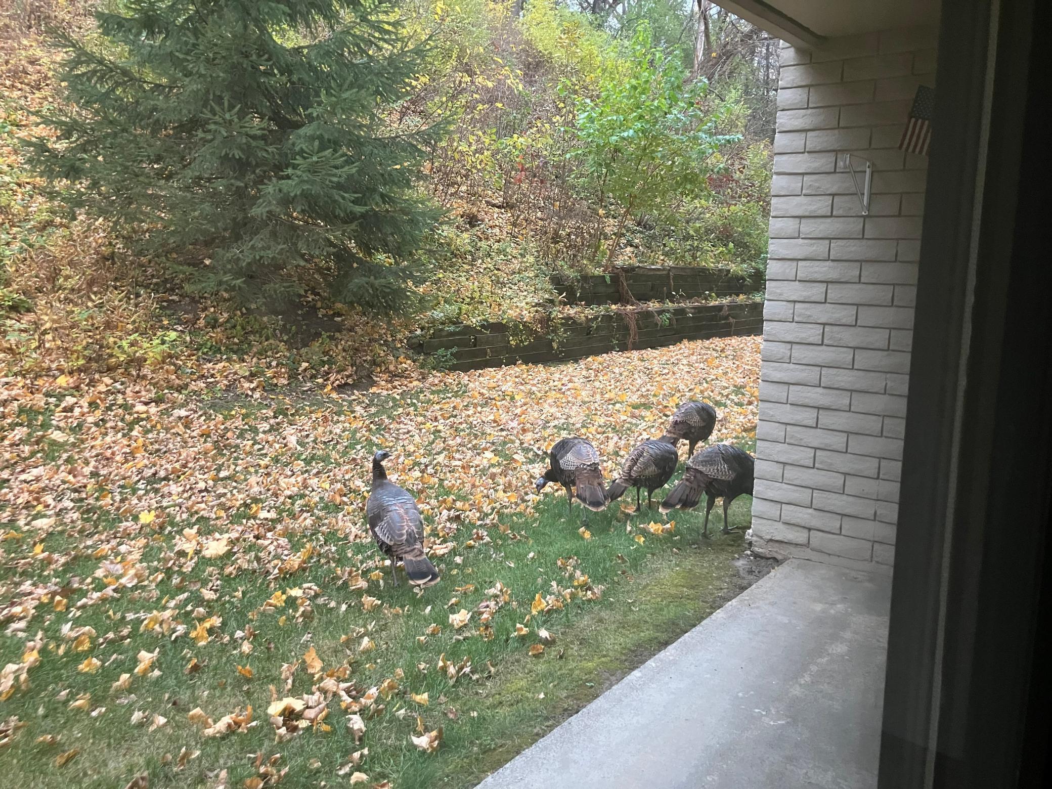 625 19th Street Northwest, Unit 103 Rochester, MN 55901 - Photo 30 of 47