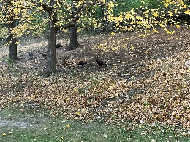 $179,900 | 625 19th Street Northwest, Unit 103, Rochester, MN 55901