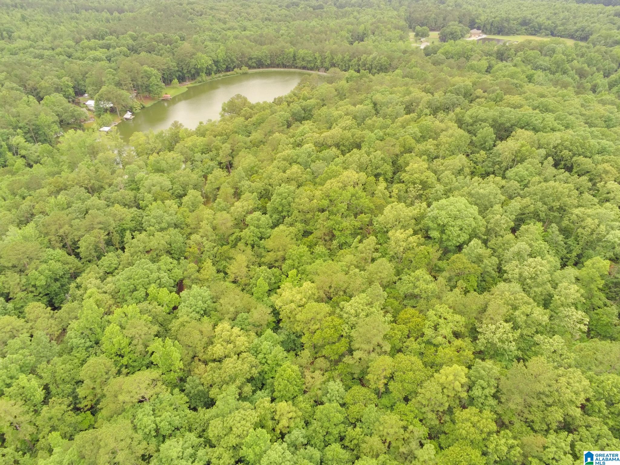 0 County Road 727, Unit 13 Montevallo, AL 35115 - Photo 14 of 15