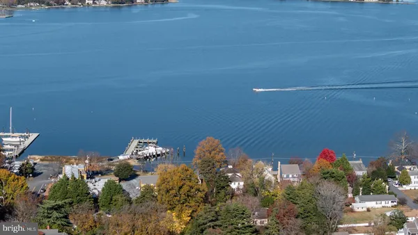 a close up of a flower