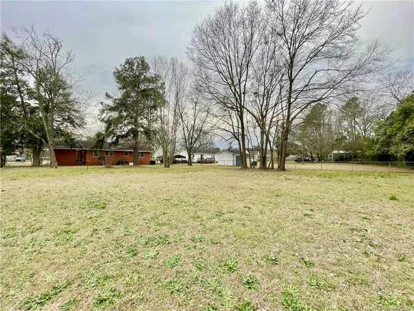 a view of yard with tree