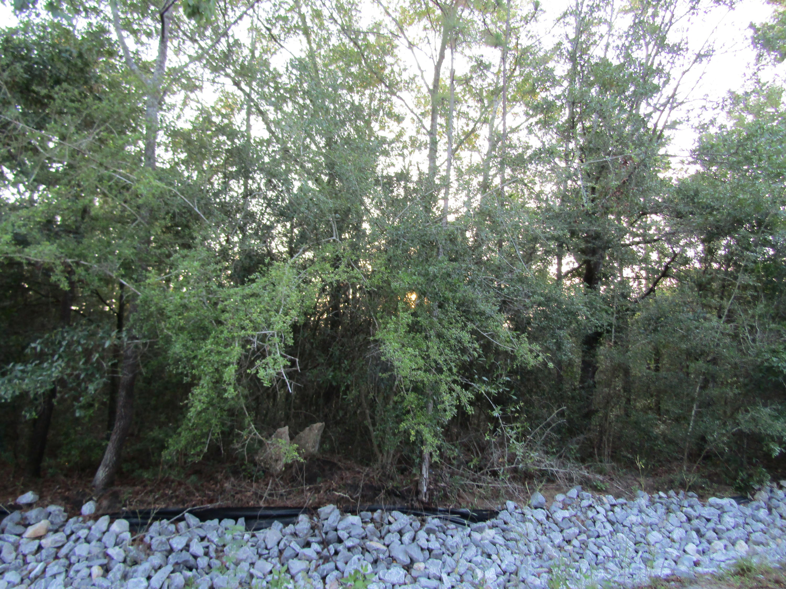 Lot 13 Hermitage Road DeFuniak Springs, FL 32433 - Photo 1 of 6 IMG_0078