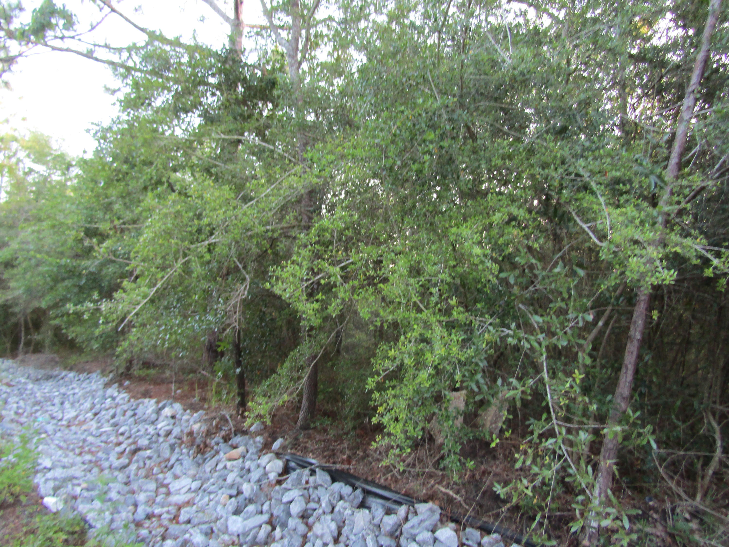 Lot 13 Hermitage Road DeFuniak Springs, FL 32433 - Photo 4 of 6 IMG_0081