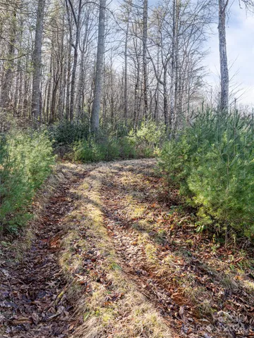 $1,700,000 | 315 Garren Creek Road, Rosman, NC 28772