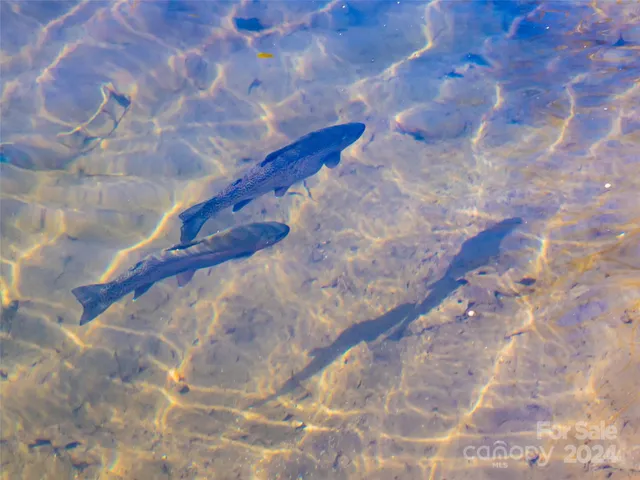 $1,700,000 | 315 Garren Creek Road, Rosman, NC 28772