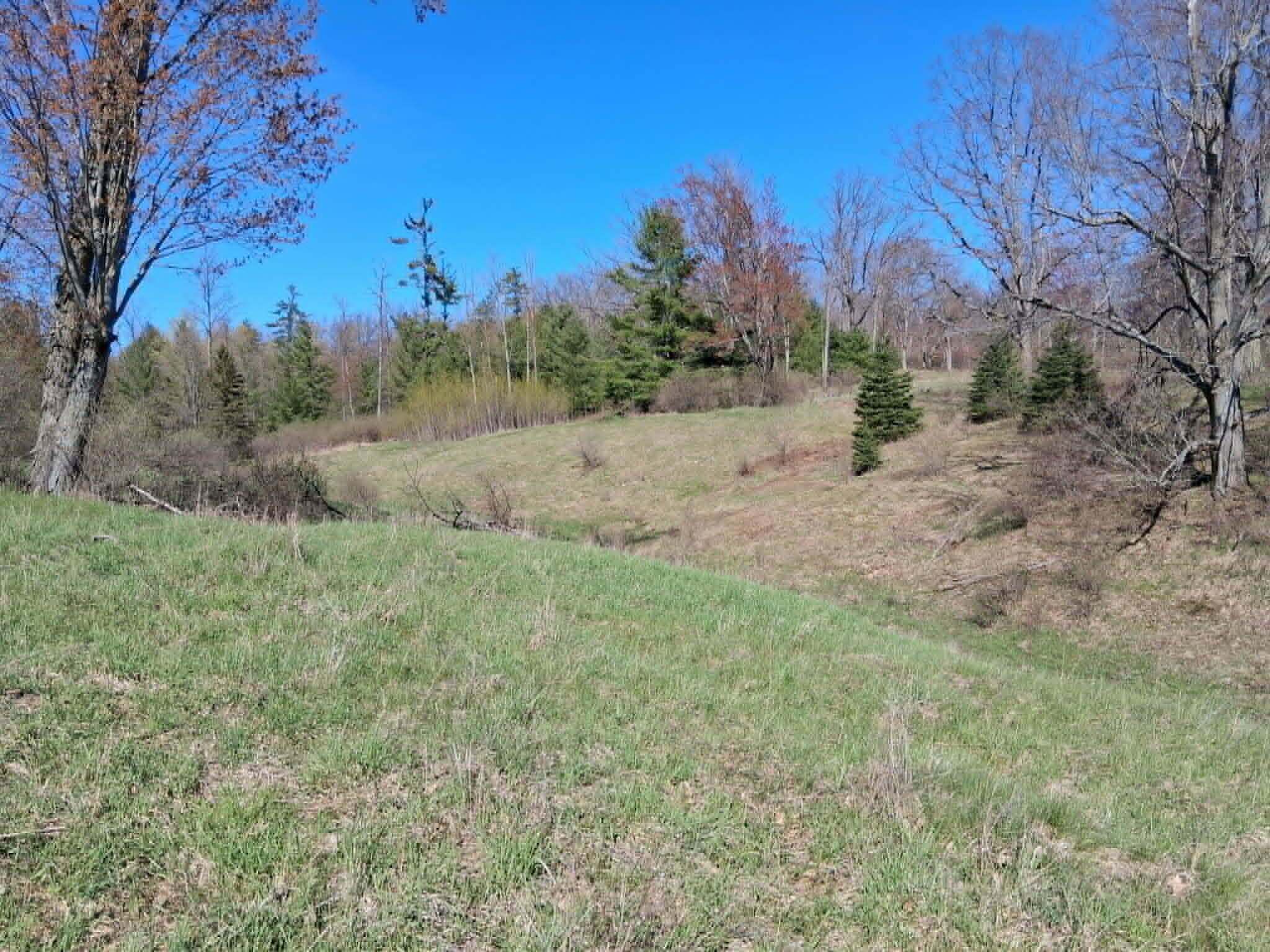 26.21-ac Crowell Road Curran, MI 48728 - Photo 10 of 12 pl21j