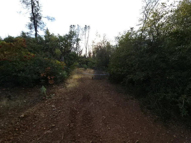 a view of a dirt road with trees in the background