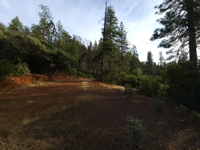 a view of road with yard and green space