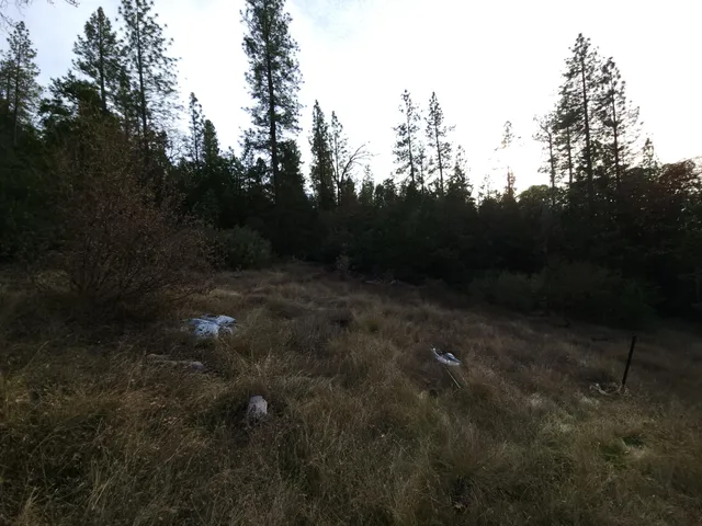 a view of outdoor space and garden