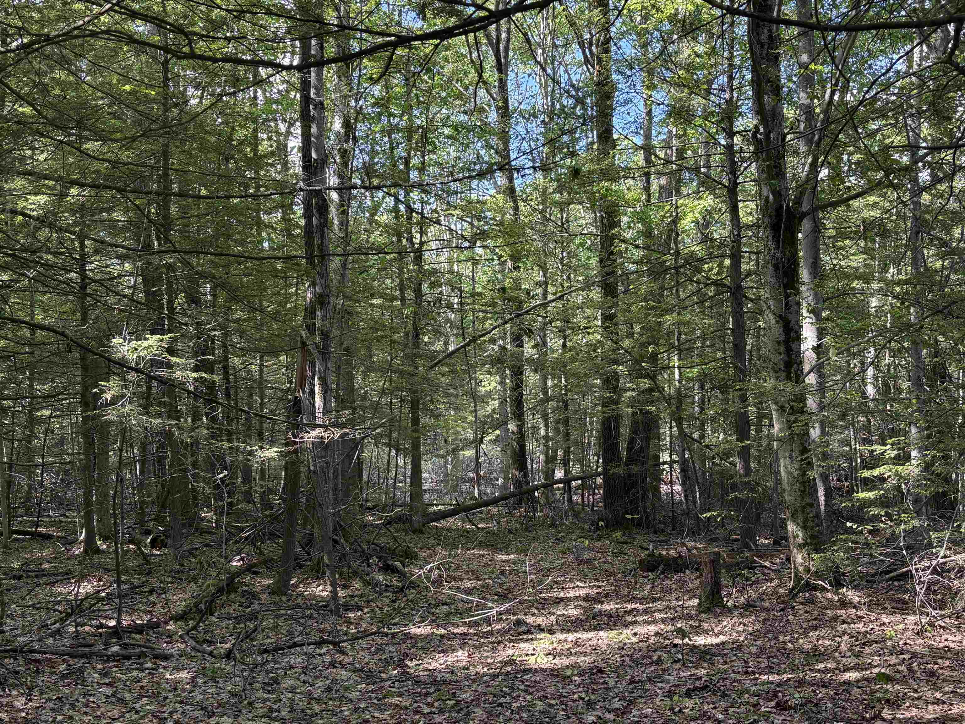 Lot 85 Currier Road Candia, NH 03034 - Photo 4 of 14