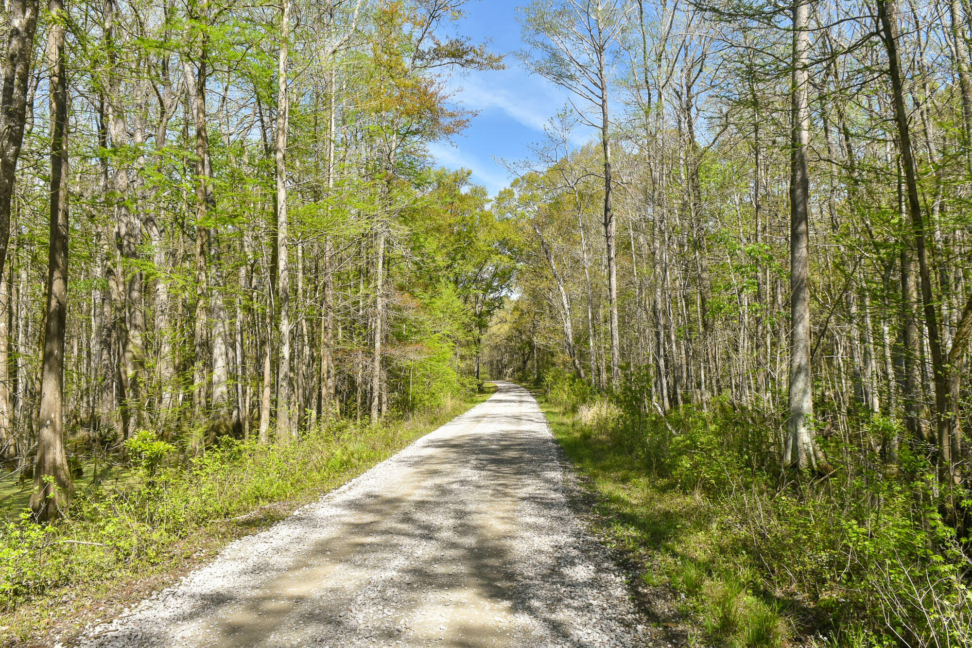 4855 Retriever Road Wadmalaw Island, SC 29487 - Photo 66 of 68 DSC_1111-2