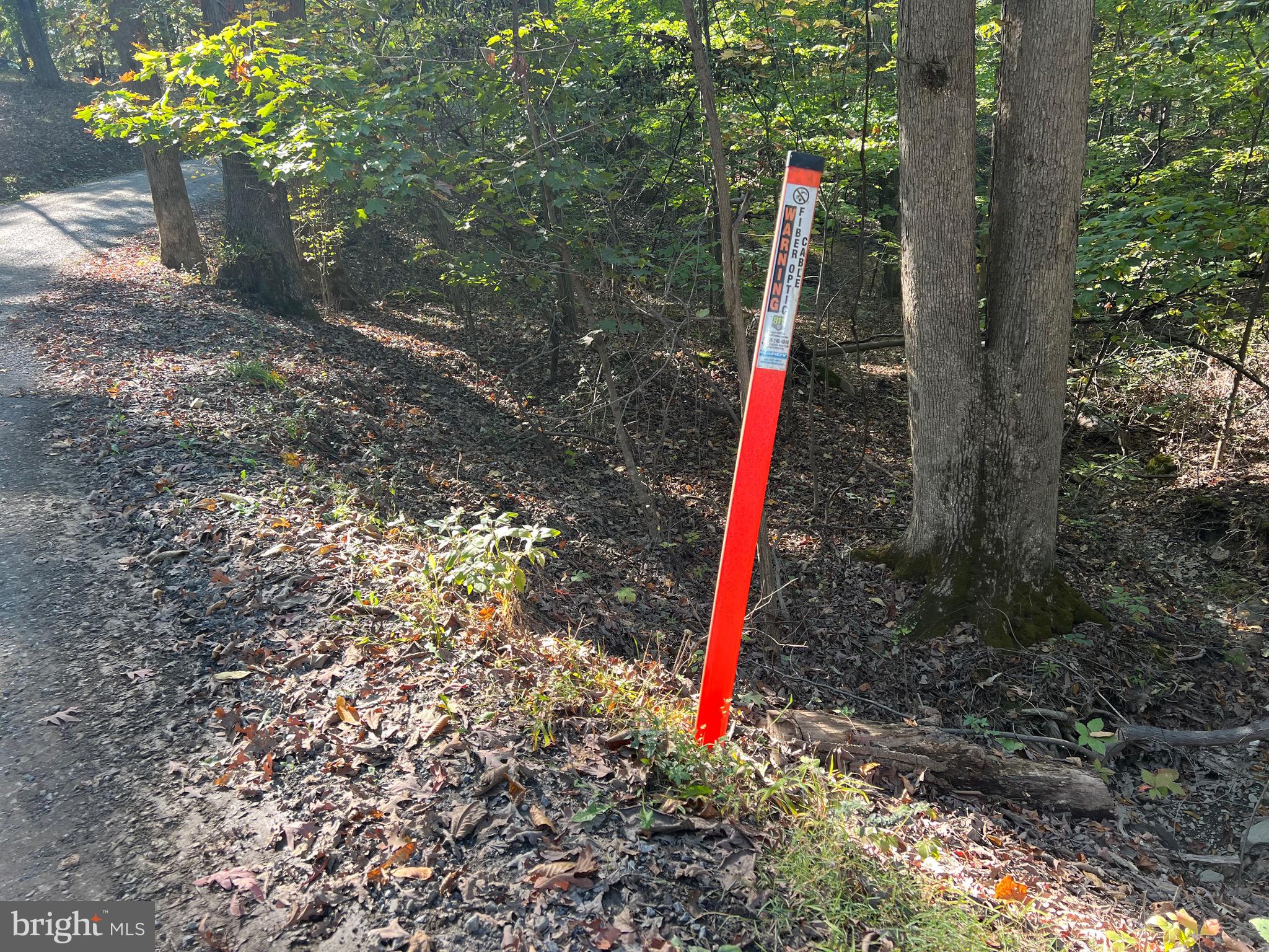 1604 High Knob Road Old Fields, WV 26845 - Photo 104 of 113 Fiber Optic at bottom of acreage