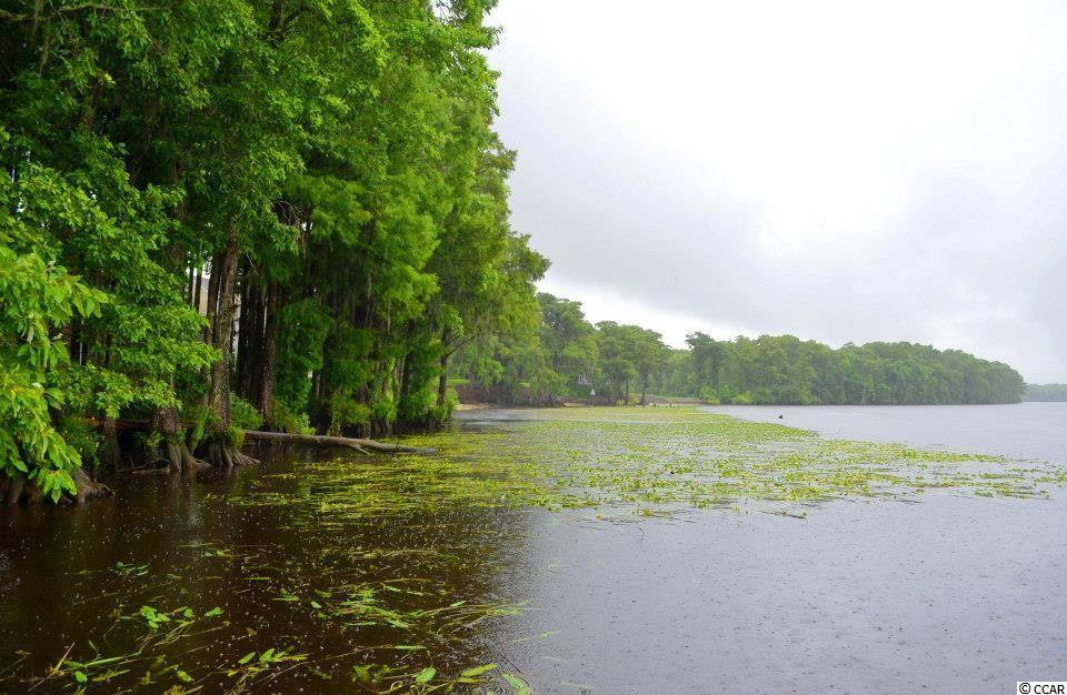 1638 Running Water Road Murrells Inlet, SC 29576 - Photo 2 of 12 Gallery Image 2