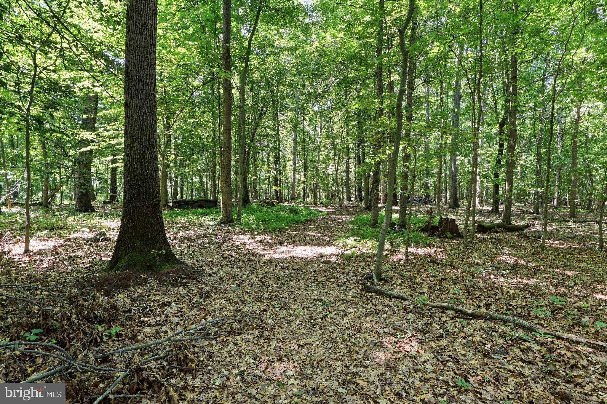 3555 Mill Green Road Street, MD 21154 - Photo 83 of 106